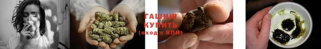 СК Бородино
