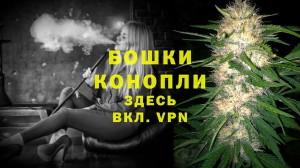 ECSTASY Бронницы