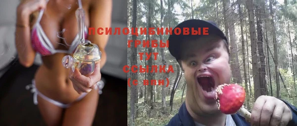 ECSTASY Бронницы