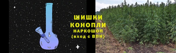 СК Бородино