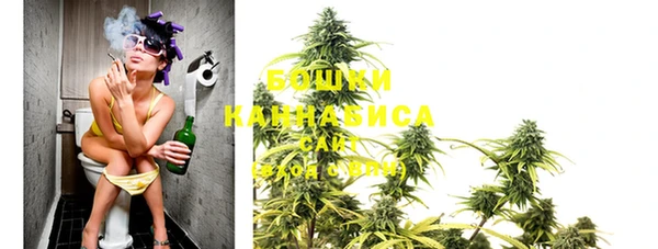 ECSTASY Бронницы