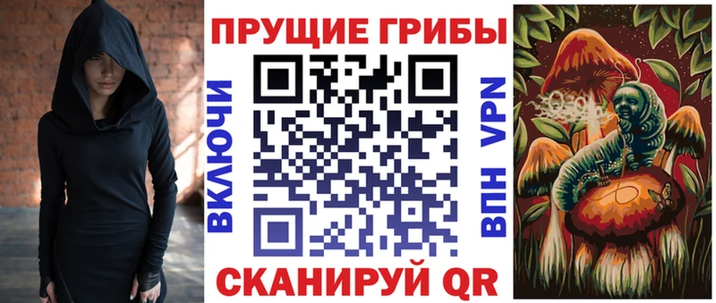 Галлюциногенные грибы Cubensis продажа наркотиков Северодвинск